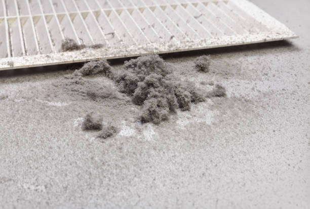 Best Professional Duct Cleaning Services  in West Monroe, LA